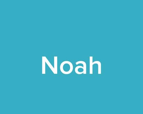 De betekenis van jongensnaam Noah